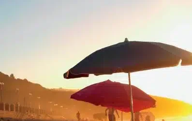 Isabelle Hadef-Juillard : une adhérente qui explore la renaissance au féminin à travers l’écriture